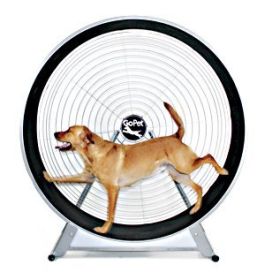 GoPet TreadWheel For Large Dogs GoPet TreadWheel For Large Dogs